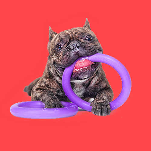 Іграшки для собак