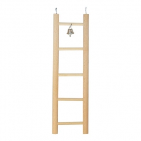 Лорі Лісенка дерев'яна дзвіночком для папуг