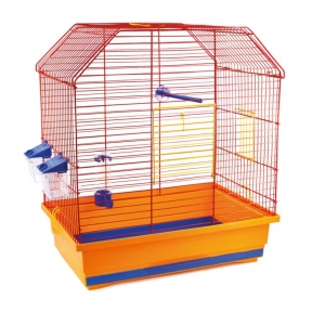 Лорі клітина 