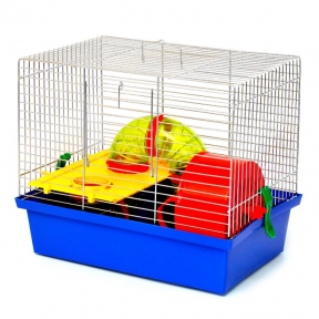 Лорі клітинка 