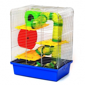 Лорі клітина 