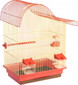 Лорі клітина 