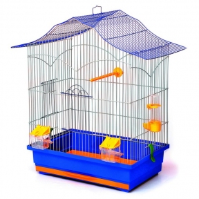 Лорі Клітка 