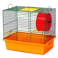 Лорі клітинка 