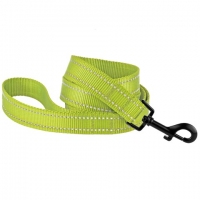 BronzeDog Повідець для собак з люмінісцентною стрічкою 25мм/152см салатовий