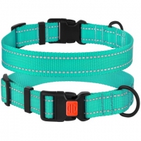 BronzeDog Нашийник для собак з люмінісцентною стрічкою 25/30 см м'ятний