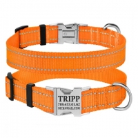 BronzeDog Нашийник для собак з люмінісцентною стрічкою 30-40см/20мм помаранчевий