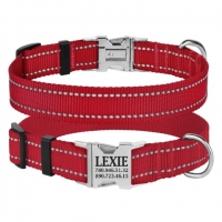 BronzeDog Нашийник для собак з люмінісцентною стрічкою 25-33см/16мм червоний