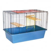 Лорі клітинка 