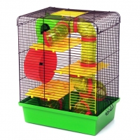 Лорі клітина 