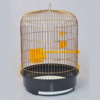 Лорі клітина 