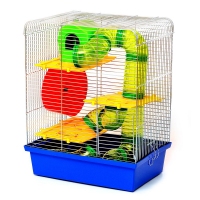 Лорі клітина 