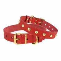 BronzeDog Нашийник для собак з прикрасою шкіра золото 2,5/36-46 см червоний