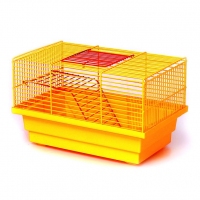 Лорі клітина 