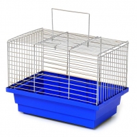 Лорі клітина 