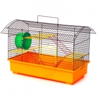 Лорі клітка 