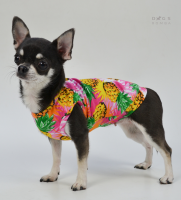 DOGS BOMBA Майка принт Ананас 5