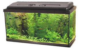 Природа Акваріум прямокутний 112 л (Комплект)
