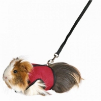 Trixie Шлей з повідцем для морської свинки 18*25см