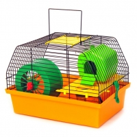 Лорі клітинка 