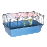 Лорі клітка 