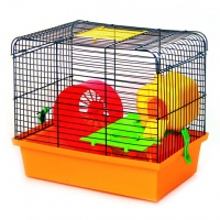 Лорі клітина 