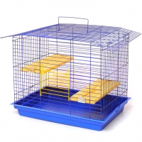 Лорі клітина 