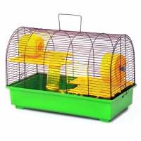 Лорі клітинка 